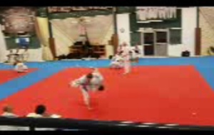 Mathias et Louise ont obtenu leur UV Kata du 1er dan. Bravo !