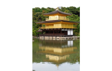 Reprise des cours de judo le 12 septembre 2011