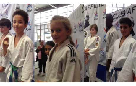 Championnat des Benjamins. Domont 30/03/2014